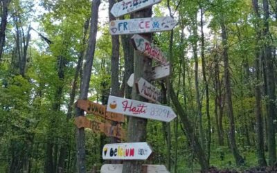 Terenska nastava – Samobor