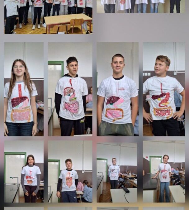 Probavni sustav na mojoj majici