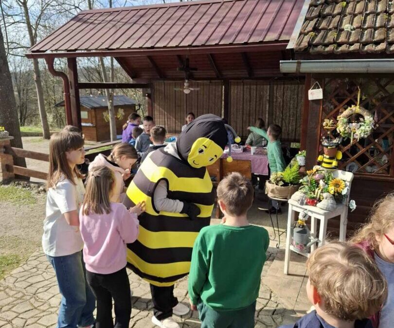 Terenska nastava- API komora i pčelarstvo Grgurić